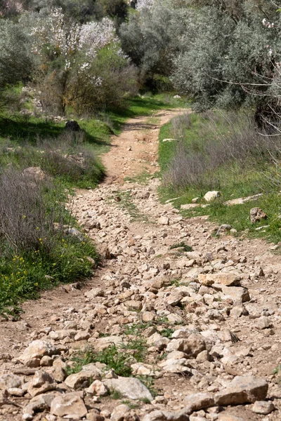 Estrada Rural Rochosa Aldeia Ein Karem Subúrbio Jerusalém Israel — Fotografia de Stock