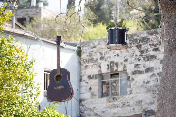 Акустическая Гитара Барабан Висят Дереве Домами Заднем Плане — стоковое фото