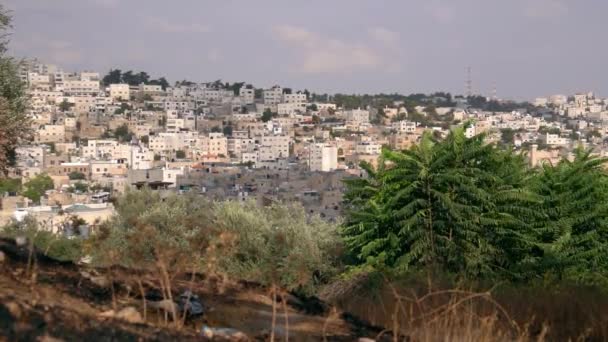 ヘブロン市の家 緑の木が付いているパレスチナのヘブロン州の首都の景色は前景の風に揺れている スローモーション — ストック動画