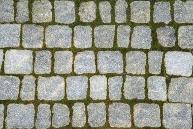 Parke desenli arka plan ve tuğlalar arasında çimen büyümesi