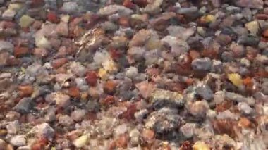 Kızıldeniz 'in şeffaf sularıyla arka plan sakin sörf kırmızı ve beyaz kumsal çakıl taşlarını kaplar.