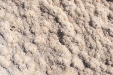 Background with a texture of a natural salt of Dead Sea. Salt crystals on seashore of Dead sea. clipart