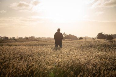 Sarı çayırda duran bir adam güzel gün batımı ışığında, yüzünü ileri dönük.