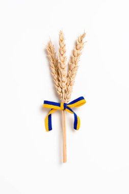 Beyaz üzerinde izole edilmiş Ukrayna bayrağı renklerinde sarı ve mavi kurdeleli buğday demeti. Ukrayna 'daki savaş yüzünden gıda krizi ve küresel gıda kıtlığı kavramı.