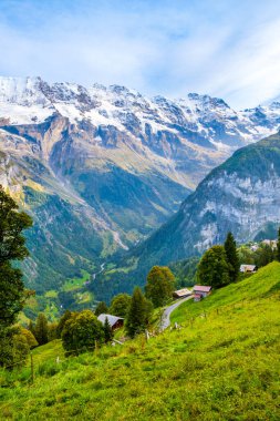 İsviçre, Lauterbrunnen Vadisi 'nin dağ manzarası. Murren 'dan Gimmelwald köyüne yürüyüş yolu. Eiger Dağı, Jungfraujoch veya İsviçre Alplerindeki Jungfrau dağları. Dikey yönelim.