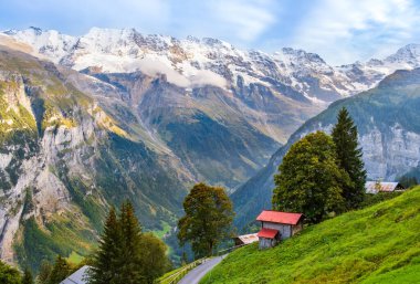 Lauterbrunnen Vadisi, İsviçre 'nin göz kamaştırıcı dağ manzarası. Murren 'dan Gimmelwald köyüne yürüyüş yolu. İsviçre Alplerinde Jungfrau dağ sıraları, yeşil çimenler ve ahşap evler karla kaplandı.