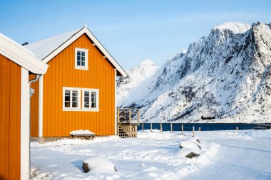 Norveç 'in Lofoten adalarındaki Sakrisoy balıkçı köyünde geleneksel sarı rorbu evi. Karlı dağlarla ve İskandinav kulübeleriyle kış manzarası.