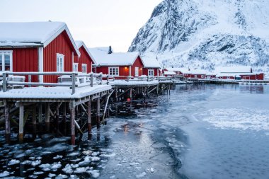 Reine village with traditional rorbu houses on Lofoten islands in winter. Scandinavian landscape with red wooden fishermen cabins on frozen sea water and snowy Reinebringen mountain, northern Norway. clipart