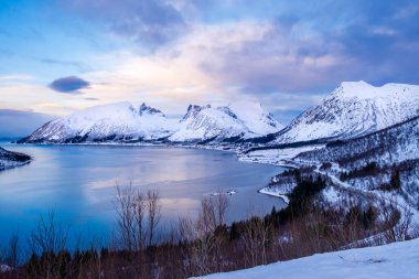 Bergsbotn 'un kışın Senja adasındaki Bergsfjorden üzerinde panoramik bir manzarası var. Kış manzarası, karlı dağlar, fiyort ve Norveç 'in kuzeyinde dolambaçlı yollar. Dramatik gökyüzü manzaralı.