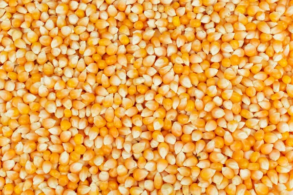 Top View Kukorica Szemek Textúra Háttér Bio Természetes Egészséges Élelmiszerek — Stock Fotó