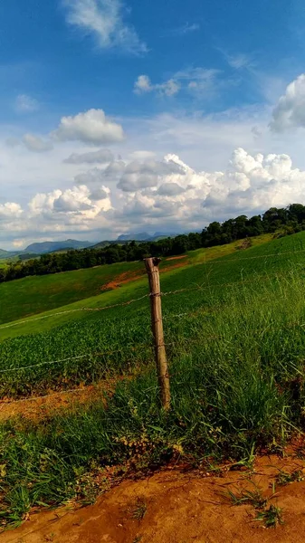 Krásná Krajina Zeleným Polem Pohled Hory Státním Regionu — Stock fotografie
