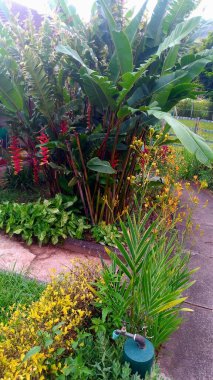 Güzel botanik fotoğrafı, doğal duvar kağıdı.