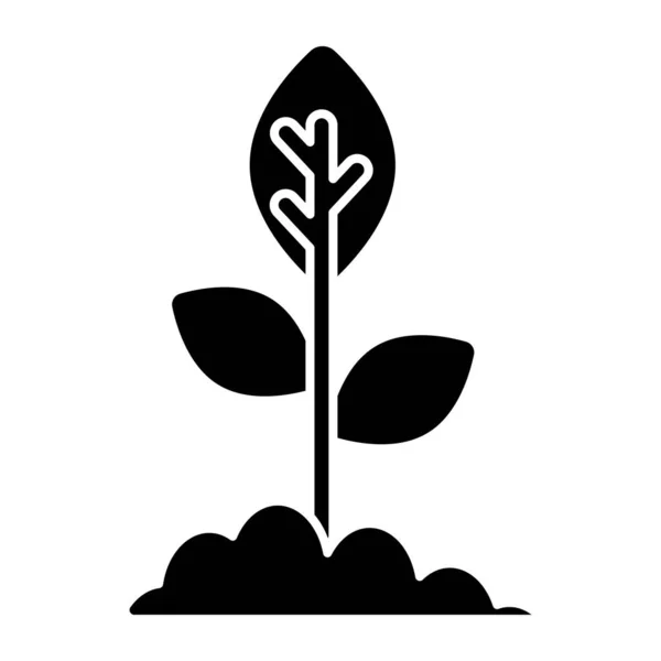 植物の成長のベクトルデザイン — ストックベクタ