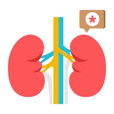 Premium download icon of kidneys clipart