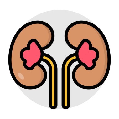 Böbreklerin kaliteli indirme simgesi