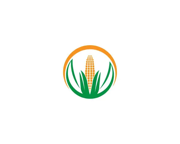 Mısır vektörü logo tasarım şablonu.