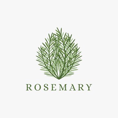 Beyaz arkaplanda taze yeşil biberiye logo ikonu vektörü