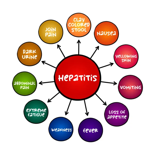 Síntomas Hepatitis Mapa Mental Concepto Médico Para Presentaciones Informes — Archivo Imágenes Vectoriales