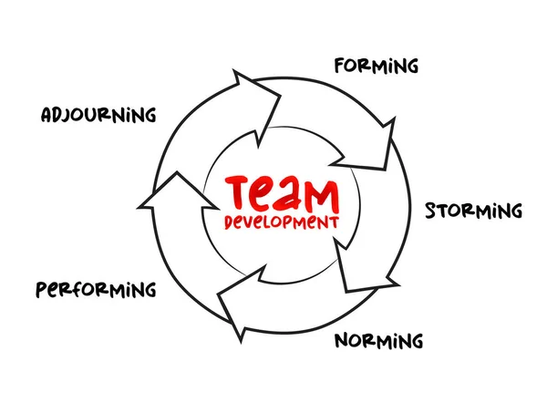Stadia Van Team Development Mind Map Proces Business Concept Voor — Stockvector