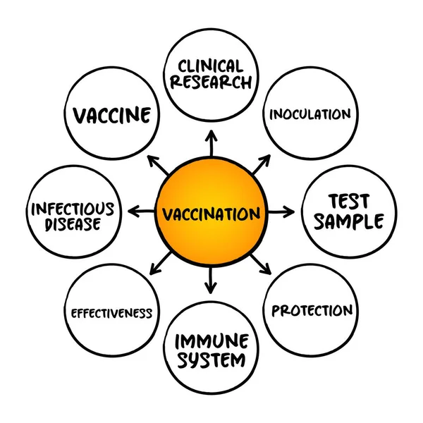 Aşı - bağışıklık sisteminin bir hastalıktan korunmasını sağlayacak bir aşı yönetimi, sunum ve raporlar için zihin haritası konsepti