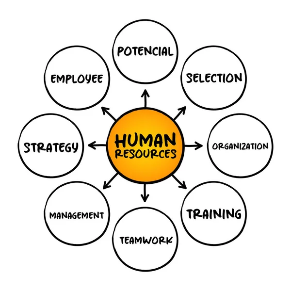 Recursos Humanos Personas Que Componen Fuerza Laboral Una Organización Concepto — Vector de stock
