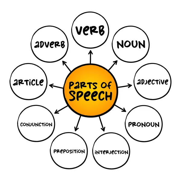 Konuşmanın Bir Bölümü Benzer Dil Bilgisi Özelliklerine Sahip Kelimeler Kategorisi — Stok Vektör
