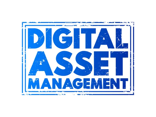 Digital Asset Management Processo Negócios Uma Tecnologia Gestão Informação Selo —  Vetores de Stock