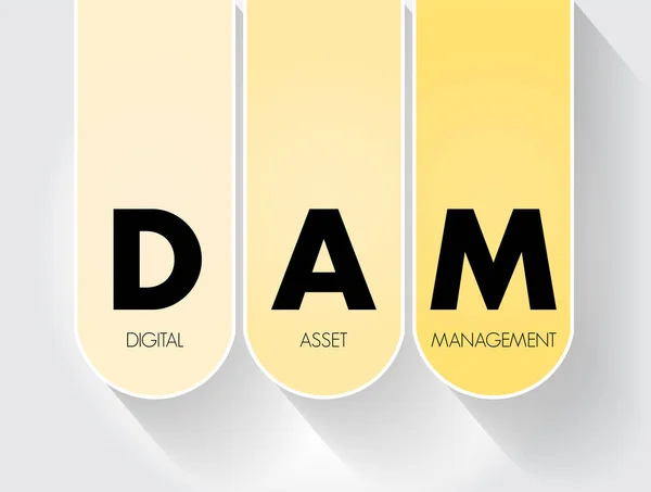 Dam Digital Asset Management Proceso Negocio Una Tecnología Gestión Información — Archivo Imágenes Vectoriales