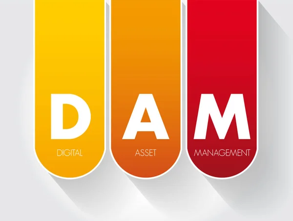 Dam Digital Asset Management Business Process Information Management Technology Acronym — Stockový vektor