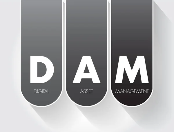 Dam Dijital Varlık Yönetimi Süreci Bilgi Yönetimi Teknolojisi Kısaltma Metin — Stok Vektör