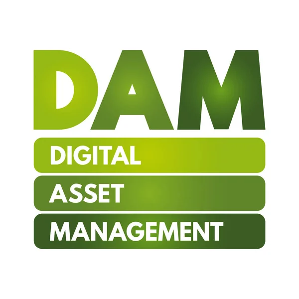 Dam Digital Asset Management Processo Negócios Uma Tecnologia Gestão Informação —  Vetores de Stock