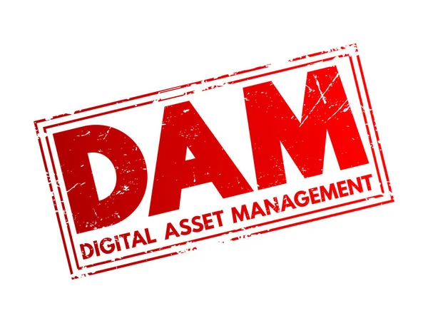 Dam Digital Asset Management Proceso Negocio Tecnología Gestión Información Sello — Archivo Imágenes Vectoriales