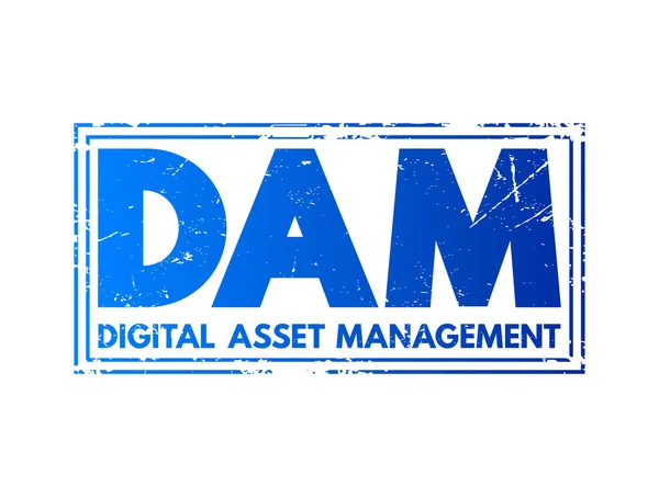 Dam Digital Asset Management Business Process Information Management Technology Akronym — Stockový vektor