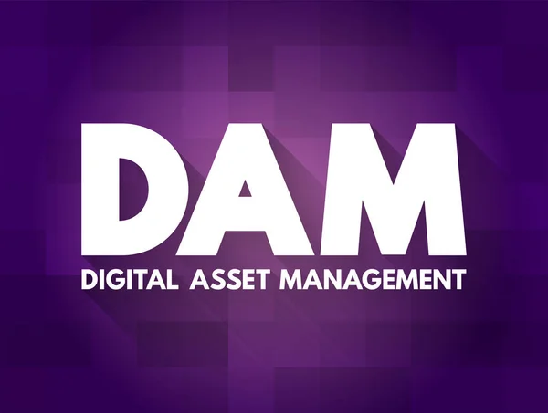 Dam Digital Asset Management Bedrijfsproces Een Informatiebeheerstechnologie Acroniem Tekstconcept Achtergrond — Stockvector