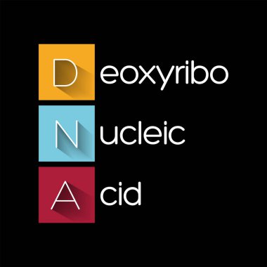 DNA Deoksiribonükleik Asit - insanlarda ve neredeyse diğer tüm organizmalarda kalıtsal madde, kısaltma metin konsepti arka planı