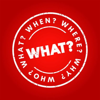 - Ne? Cevapları bilgi toplama veya problem çözmede temel kabul edilen soru ve sorular