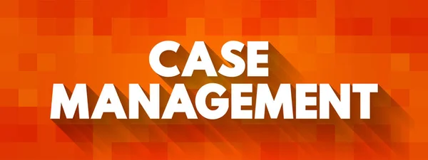 Case Management Collaborative Process Which Assesses Plans Implements Ordinates Monitors — Vettoriale Stock