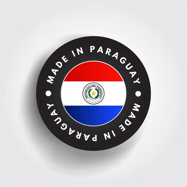 Insigne Emblème Texte Fabriqué Paraguay Fond Concept — Image vectorielle