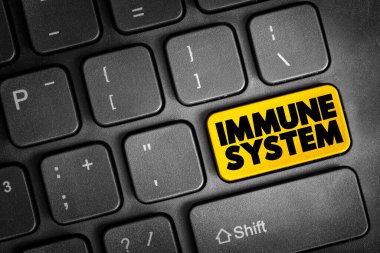 Immune System text button on keyboard, health concept background