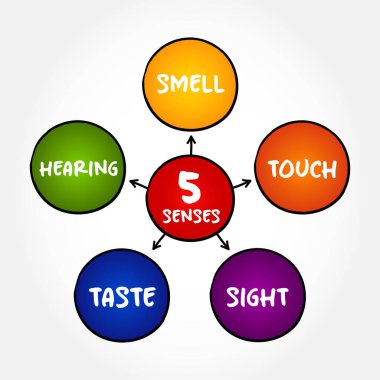 Five basic human senses: touch, sight, hearing, smell and taste,  mind map concept for presentations and reports
