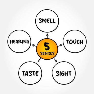 Five basic human senses: touch, sight, hearing, smell and taste,  mind map concept for presentations and reports