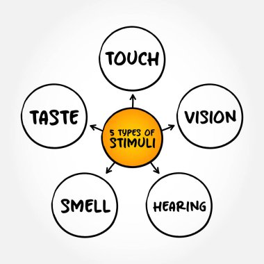 The 5 types of external stimuli - divided into our senses: touch, vision, smell and taste, mind map concept for presentations and reports