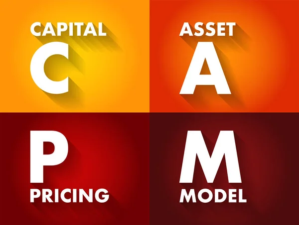 Capm Sermaye Varlığı Fiyatlandırma Modeli Sistematik Risk Ile Varlıklar Için — Stok Vektör