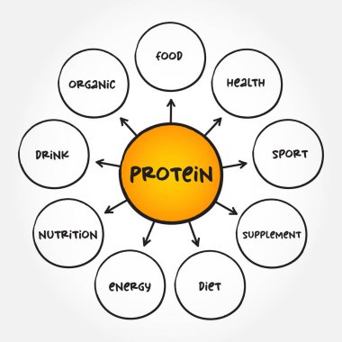 Protein are large biomolecule and macromolecule that comprise one or more long chains of amino acid residues, mind map concept background