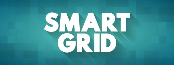 Smart Grid Rete Elettrica Che Comprende Una Varietà Misure Funzionamento — Vettoriale Stock