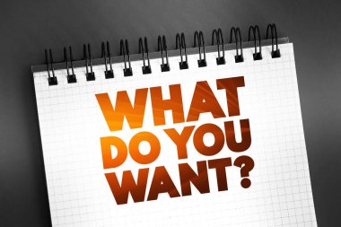 Soru metni alıntısı, konsept özgeçmiş