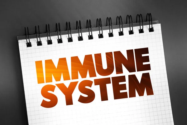 stock image Immune System text on notepad, health concept background