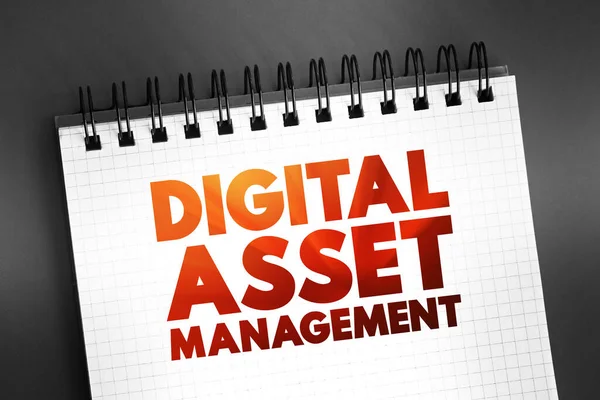 Digital Asset Management Processo Negócios Uma Tecnologia Gestão Informação Conceito — Fotografia de Stock