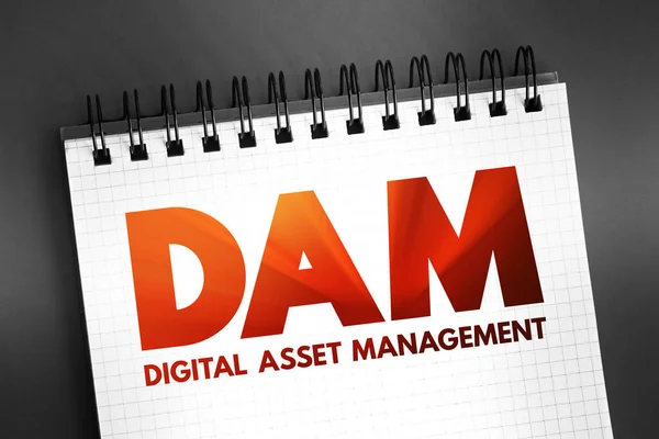 Dam Dijital Varlık Yönetimi Süreci Bilgi Yönetimi Teknolojisi Defterinde Kısaltma — Stok fotoğraf