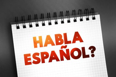 Habla Espanol mü? Not defterindeki metin alıntısı, kavram arkaplanı